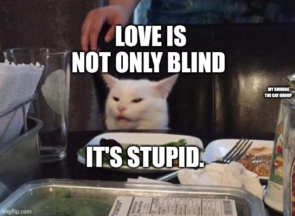 Salad cat | LOVE IS NOT ONLY BLIND; MY SMUDGE THE CAT GROUP; IT'S STUPID. | image tagged in salad cat | made w/ Imgflip meme maker