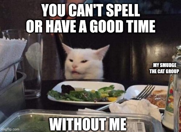 Salad cat | YOU CAN'T SPELL OR HAVE A GOOD TIME; MY SMUDGE THE CAT GROUP; WITHOUT ME | image tagged in salad cat | made w/ Imgflip meme maker
