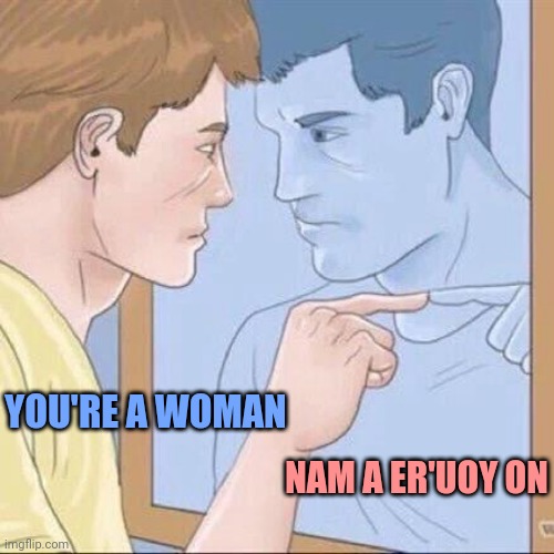 Call yourself whatever IDC but it doesn't change how you were born. | NAM A ER'UOY ON YOU'RE A WOMAN | image tagged in pointing mirror guy | made w/ Imgflip meme maker