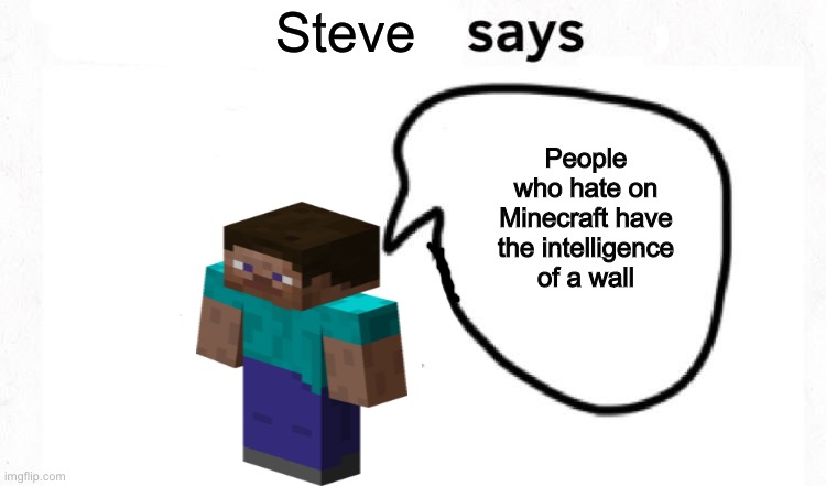 Minecraft is a good game | Steve; People who hate on Minecraft have the intelligence of a wall | image tagged in the boyfriend says,minecraft,gaming,random tag,no you cant have the cookies | made w/ Imgflip meme maker
