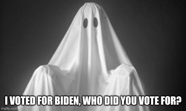 Ghost | I VOTED FOR BIDEN, WHO DID YOU VOTE FOR? | image tagged in ghost | made w/ Imgflip meme maker