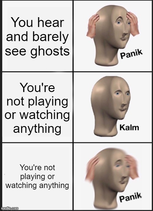 W A T, WOAH. WOAH. WOAH. WAT. WAT?!?!?! | You hear and barely see ghosts; You're not playing or watching anything; You're not playing or watching anything | image tagged in memes,panik kalm panik,ghost | made w/ Imgflip meme maker