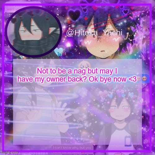 Yachi's 3rd Tamaki temp | Not to be a nag but may I have my owner back? Ok bye now <3 | image tagged in yachi's 3rd tamaki temp | made w/ Imgflip meme maker