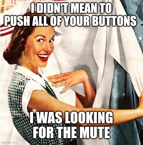 Vintage Laundry Woman | I DIDN'T MEAN TO PUSH ALL OF YOUR BUTTONS; I WAS LOOKING FOR THE MUTE | image tagged in vintage laundry woman | made w/ Imgflip meme maker