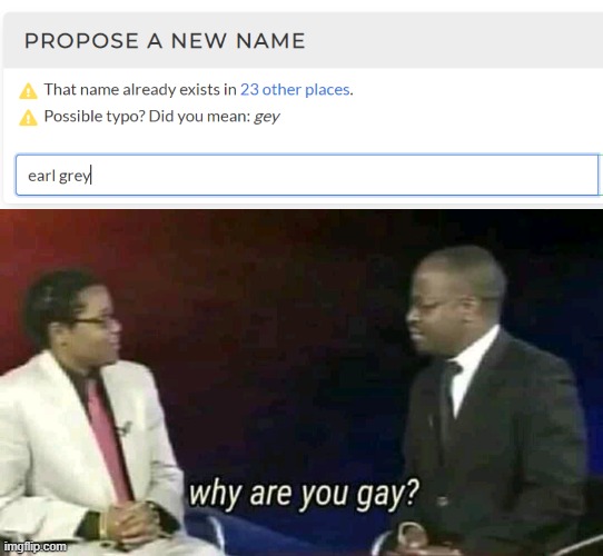 gay | image tagged in why are you gay | made w/ Imgflip meme maker