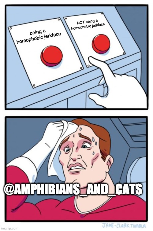 here you go Amphibians_and_cats! | NOT being a homophobic jerkface; being a homophobic jerkface; @AMPHIBIANS_AND_CATS | image tagged in memes,two buttons | made w/ Imgflip meme maker