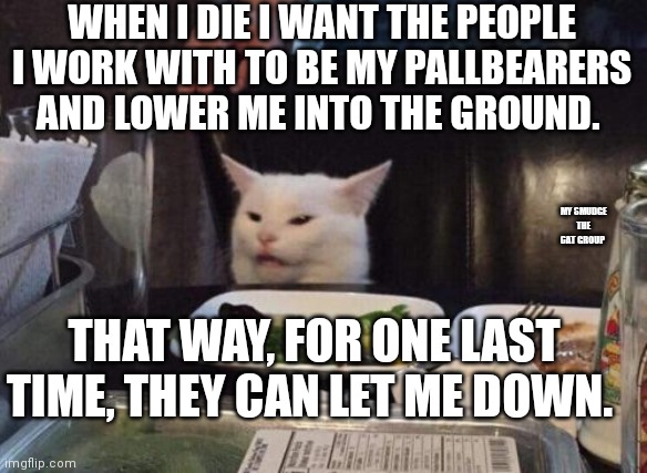 Salad cat |  WHEN I DIE I WANT THE PEOPLE I WORK WITH TO BE MY PALLBEARERS AND LOWER ME INTO THE GROUND. MY SMUDGE THE CAT GROUP; THAT WAY, FOR ONE LAST TIME, THEY CAN LET ME DOWN. | image tagged in salad cat | made w/ Imgflip meme maker