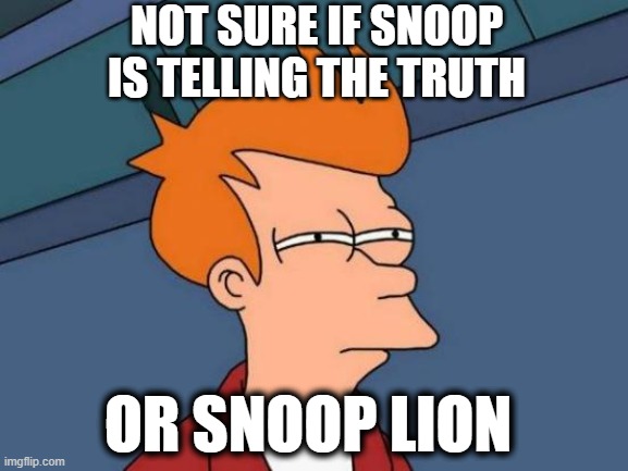 Snoop | NOT SURE IF SNOOP IS TELLING THE TRUTH; OR SNOOP LION | image tagged in memes,futurama fry | made w/ Imgflip meme maker