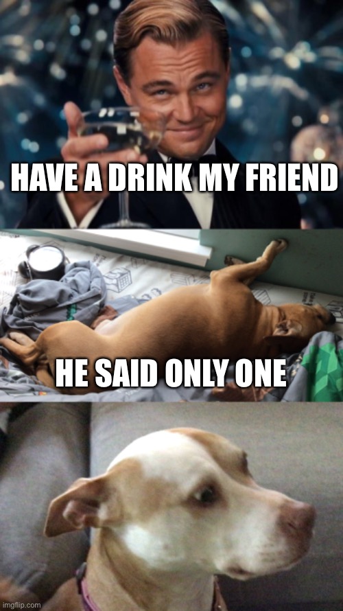 I had wine | HAVE A DRINK MY FRIEND; HE SAID ONLY ONE | image tagged in memes,leonardo dicaprio cheers | made w/ Imgflip meme maker