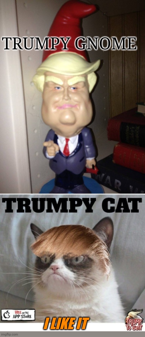 TRUMPY GNOME; I LIKE IT | image tagged in grumpy cat news,president trump | made w/ Imgflip meme maker