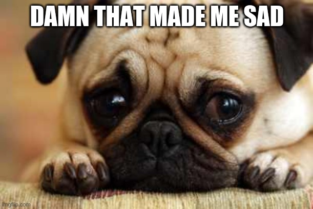 Sad Dog | DAMN THAT MADE ME SAD | image tagged in sad dog | made w/ Imgflip meme maker