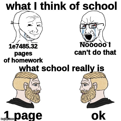 School |  what I think of school; 1e7485.32 pages of homework; Nooooo I can't do that; what school really is; 1 page; ok | image tagged in crying wojak / i know chad meme,wojak | made w/ Imgflip meme maker