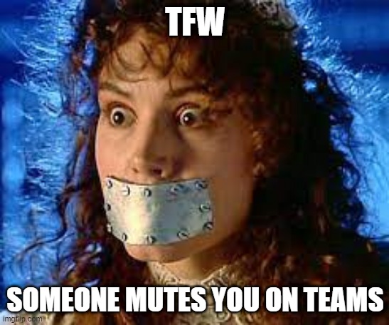 TFW Someone Mutes You on a Group Call | TFW; SOMEONE MUTES YOU ON TEAMS | image tagged in tfw you're muted on a group call | made w/ Imgflip meme maker