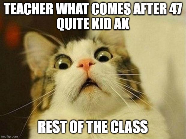 Scared Cat | TEACHER WHAT COMES AFTER 47


QUITE KID AK; REST OF THE CLASS | image tagged in memes,scared cat | made w/ Imgflip meme maker