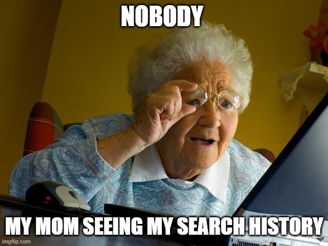 Grandma Finds The Internet | NOBODY; MY MOM SEEING MY SEARCH HISTORY | image tagged in memes,grandma finds the internet | made w/ Imgflip meme maker