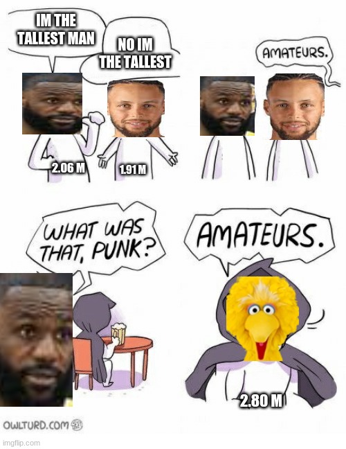 Big Bird is only six years old!? | IM THE TALLEST MAN; NO IM THE TALLEST; 2.06 M; 1.91 M; 2.80 M | image tagged in amateurs,big bird,lebron james,stephen curry,height,tall | made w/ Imgflip meme maker