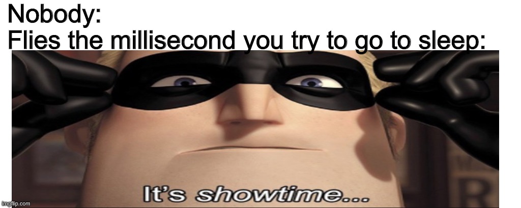 BZZZZZZZZZZZZZZZZZZZZZZZZZZZZZZZ | Nobody: 
Flies the millisecond you try to go to sleep: | image tagged in memes,flies,fly,its showtime | made w/ Imgflip meme maker