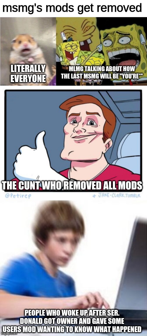 basically | msmg's mods get removed; MLMG TALKING ABOUT HOW THE LAST MSMG WILL BE "YOU'RE*"; LITERALLY EVERYONE; THE CUNT WHO REMOVED ALL MODS; PEOPLE WHO WOKE UP AFTER SER. DONALD GOT OWNER AND GAVE SOME USERS MOD WANTING TO KNOW WHAT HAPPENED | image tagged in types of reactions | made w/ Imgflip meme maker