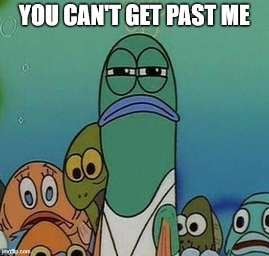 Try, you won't | YOU CAN'T GET PAST ME | image tagged in spongebob | made w/ Imgflip meme maker