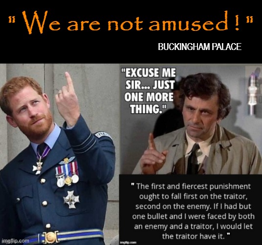 The Betrayal | BUCKINGHAM PALACE; " We are not amused ! " | image tagged in prince harry | made w/ Imgflip meme maker