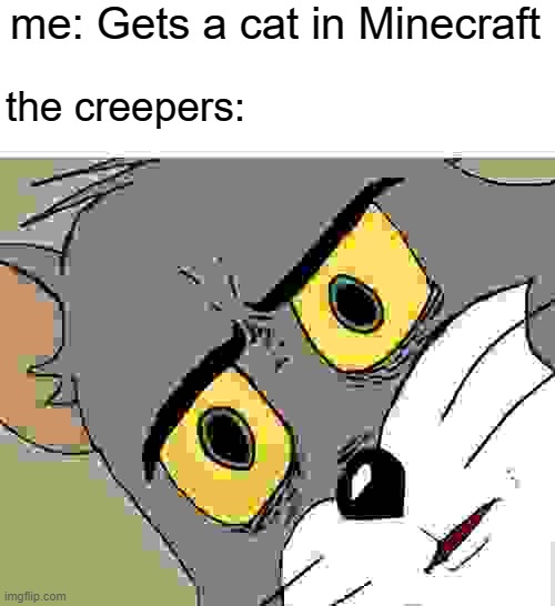 Unsettled Tom Meme | me: Gets a cat in Minecraft; the creepers: | image tagged in memes,unsettled tom | made w/ Imgflip meme maker