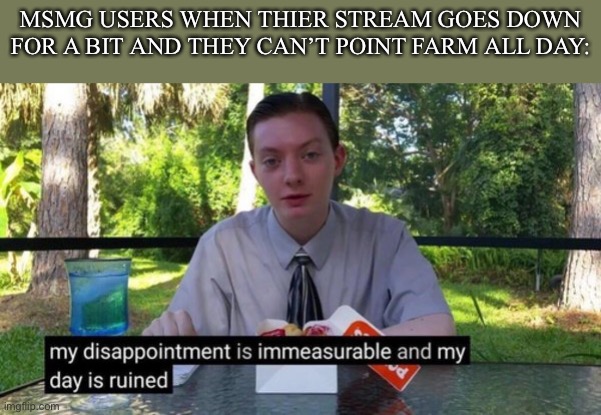 My dissapointment is immeasureable and my day is ruined | MSMG USERS WHEN THIER STREAM GOES DOWN FOR A BIT AND THEY CAN’T POINT FARM ALL DAY: | image tagged in my dissapointment is immeasureable and my day is ruined | made w/ Imgflip meme maker