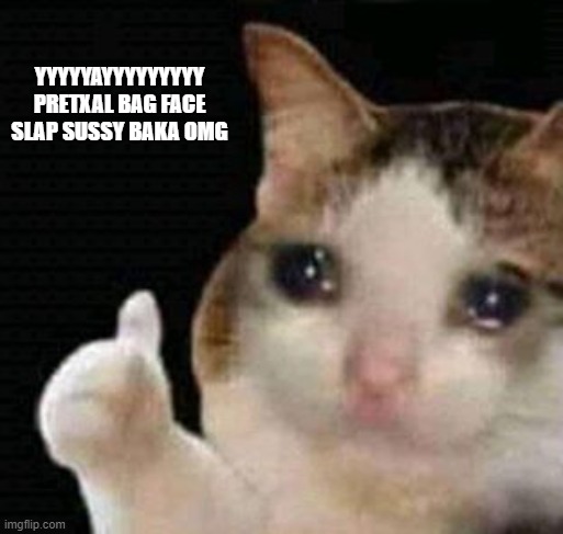 petzel bog slep | YYYYYAYYYYYYYYY PRETXAL BAG FACE SLAP SUSSY BAKA OMG | image tagged in sad me thumbs up | made w/ Imgflip meme maker