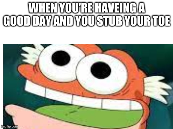 meh toeeeee | WHEN YOU'RE HAVEING A GOOD DAY AND YOU STUB YOUR TOE | image tagged in funny | made w/ Imgflip meme maker