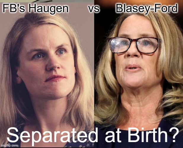 Separated at Birth? | FB's Haugen      vs     Blasey-Ford; Separated at Birth? | image tagged in facebook whistleblower,christine blasey ford,separated at birth,facebook haugen,facebook scandal | made w/ Imgflip meme maker