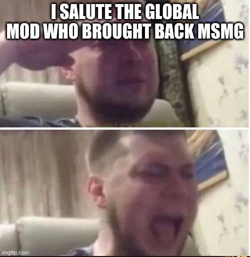 Crying salute | I SALUTE THE GLOBAL MOD WHO BROUGHT BACK MSMG | image tagged in crying salute | made w/ Imgflip meme maker