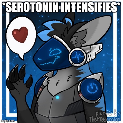 *SEROTONIN INTENSIFIES* | made w/ Imgflip meme maker