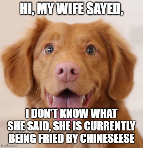 Doggy_dead | HI, MY WIFE SAYED, I DON'T KNOW WHAT SHE SAID, SHE IS CURRENTLY BEING FRIED BY CHINESEESE | image tagged in gabe the dog | made w/ Imgflip meme maker