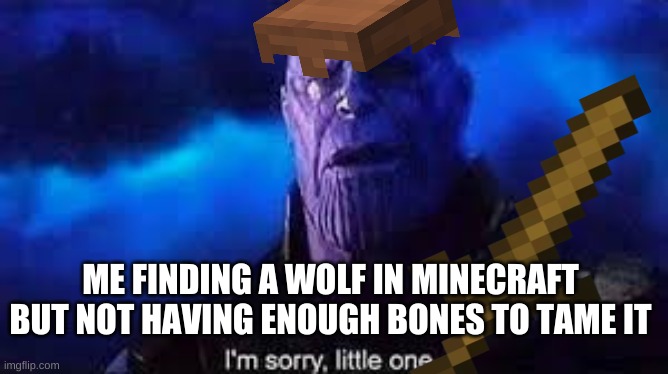 I’m sorry, little one | ME FINDING A WOLF IN MINECRAFT BUT NOT HAVING ENOUGH BONES TO TAME IT | image tagged in i m sorry little one | made w/ Imgflip meme maker