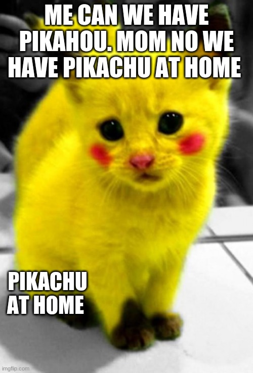 My mom said I can be anything | ME CAN WE HAVE PIKAHOU. MOM NO WE HAVE PIKACHU AT HOME; PIKACHU AT HOME | image tagged in my mom said i can be anything | made w/ Imgflip meme maker