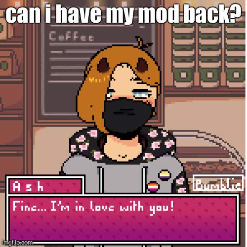 ? | can i have my mod back? | image tagged in haha your gay | made w/ Imgflip meme maker