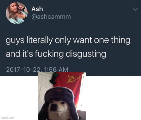 Guys only want a communist dog | image tagged in guys only want one thing | made w/ Imgflip meme maker