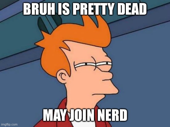 Sighs | BRUH IS PRETTY DEAD; MAY JOIN NERD | image tagged in memes,futurama fry | made w/ Imgflip meme maker