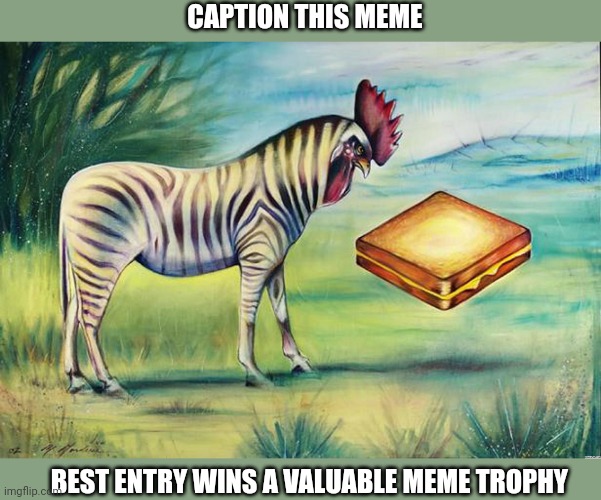 Contest! | CAPTION THIS MEME; BEST ENTRY WINS A VALUABLE MEME TROPHY | image tagged in caption contest 19,caption this,strange,memes | made w/ Imgflip meme maker