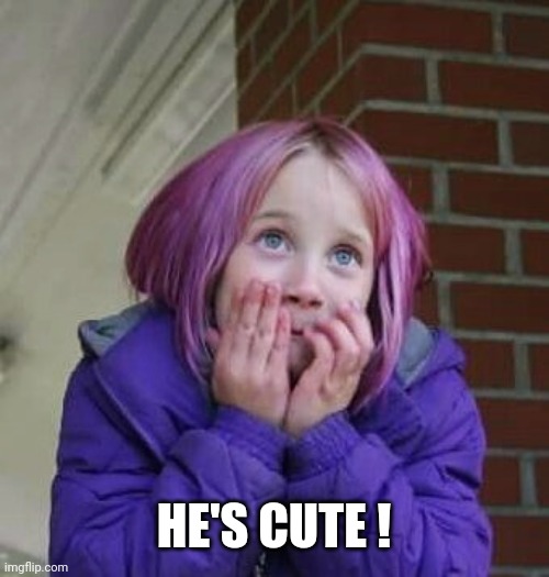 So Cute | HE'S CUTE ! | image tagged in so cute | made w/ Imgflip meme maker