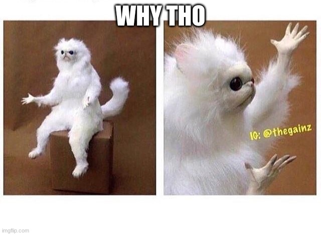 why tho | WHY THO | image tagged in why tho | made w/ Imgflip meme maker
