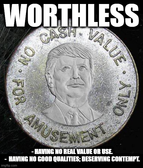 WORTHLESS | WORTHLESS; - HAVING NO REAL VALUE OR USE.
 -  HAVING NO GOOD QUALITIES; DESERVING CONTEMPT. | image tagged in worthless,value,qualities,contempt,less than zero,amusement | made w/ Imgflip meme maker