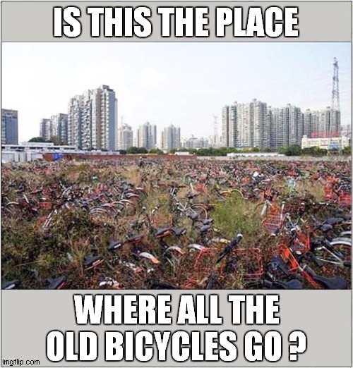 Exactly Where Is This ? | IS THIS THE PLACE; WHERE ALL THE OLD BICYCLES GO ? | image tagged in bicycle,dumped | made w/ Imgflip meme maker