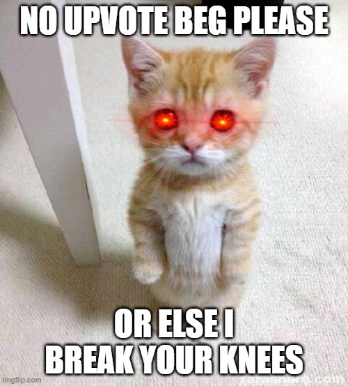 cat break knees bro | NO UPVOTE BEG PLEASE; OR ELSE I BREAK YOUR KNEES | image tagged in memes,cute cat | made w/ Imgflip meme maker