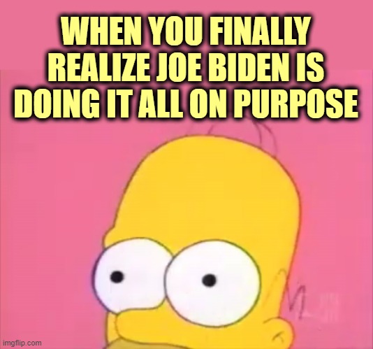 Biden is not "incompetent", he is a Chinese Communist agent. | WHEN YOU FINALLY REALIZE JOE BIDEN IS DOING IT ALL ON PURPOSE | image tagged in biden,manchurian candidate,traitor,gitmo,treason | made w/ Imgflip meme maker