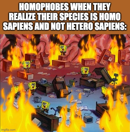 spongebob fire | HOMOPHOBES WHEN THEY REALIZE THEIR SPECIES IS HOMO SAPIENS AND NOT HETERO SAPIENS: | image tagged in spongebob fire | made w/ Imgflip meme maker