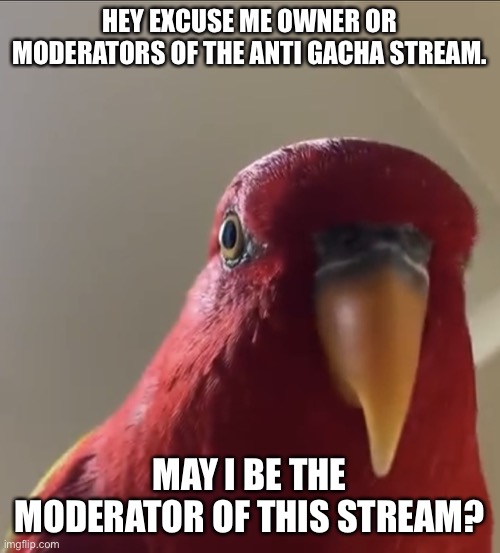 I need to help this stream grow. | HEY EXCUSE ME OWNER OR MODERATORS OF THE ANTI GACHA STREAM. MAY I BE THE MODERATOR OF THIS STREAM? | image tagged in gumi staring | made w/ Imgflip meme maker