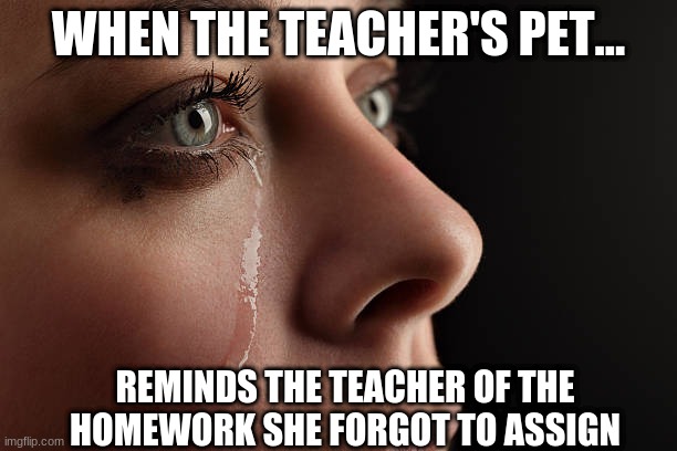WHEN THE TEACHER'S PET... REMINDS THE TEACHER OF THE HOMEWORK SHE FORGOT TO ASSIGN | image tagged in memes,school | made w/ Imgflip meme maker