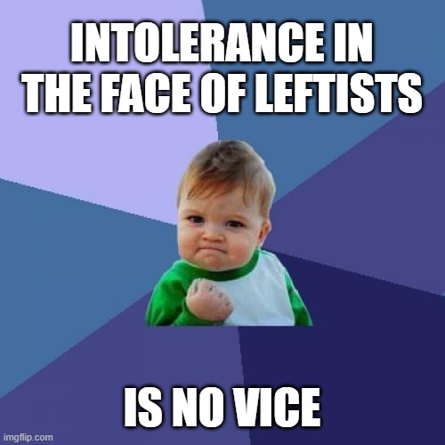 Success Kid Meme | INTOLERANCE IN THE FACE OF LEFTISTS IS NO VICE | image tagged in memes,success kid | made w/ Imgflip meme maker