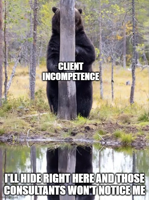 Client incompetence | CLIENT INCOMPETENCE; I'LL HIDE RIGHT HERE AND THOSE
CONSULTANTS WON'T NOTICE ME | image tagged in bear behind tree | made w/ Imgflip meme maker