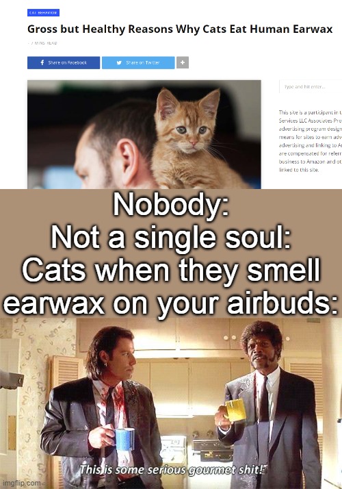 No really this happens! | Nobody:
Not a single soul:
Cats when they smell earwax on your airbuds: | image tagged in this is some serious gourmet shit,memes,cats,gross,earwax | made w/ Imgflip meme maker